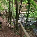 Daire Dein Wald Und Wein Hideaway *