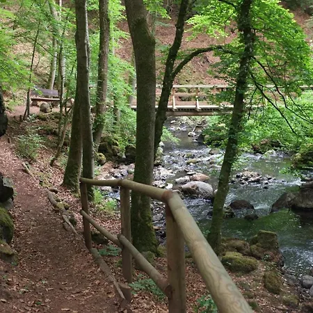 Dein Wald Und Wein Hideaway Kommen